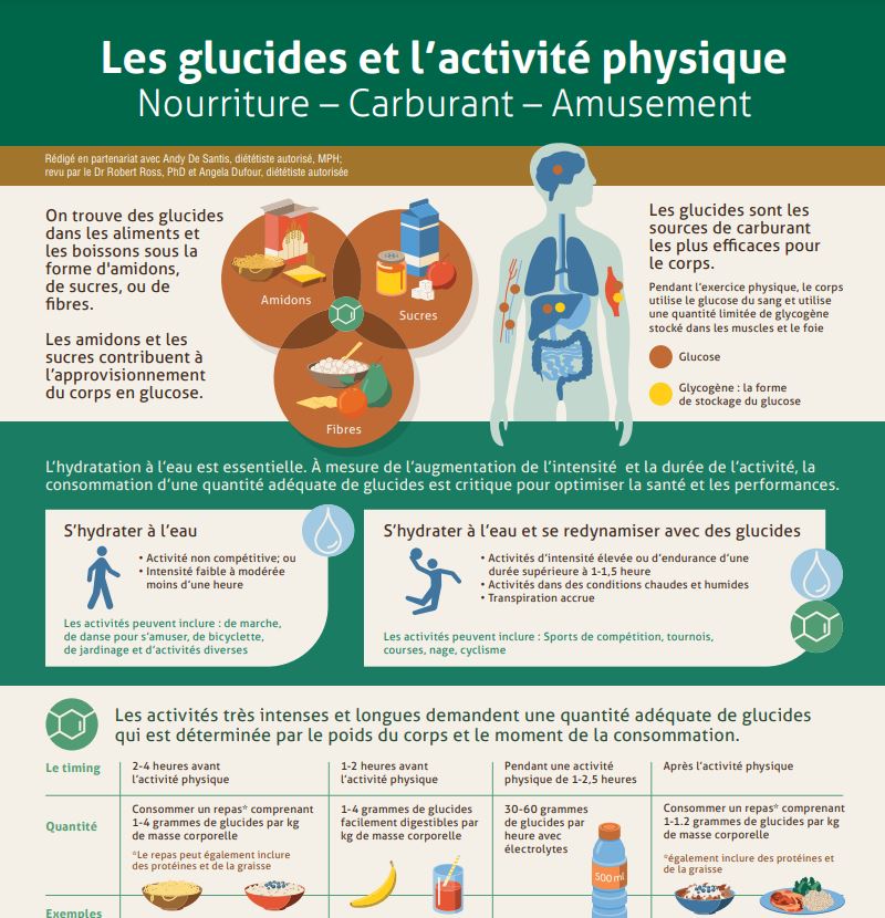 Les glucides et l'activité physique infographie