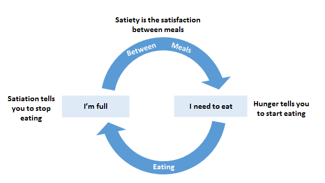 satiety is the satisfaction between meals, satiation tells you to stop eating