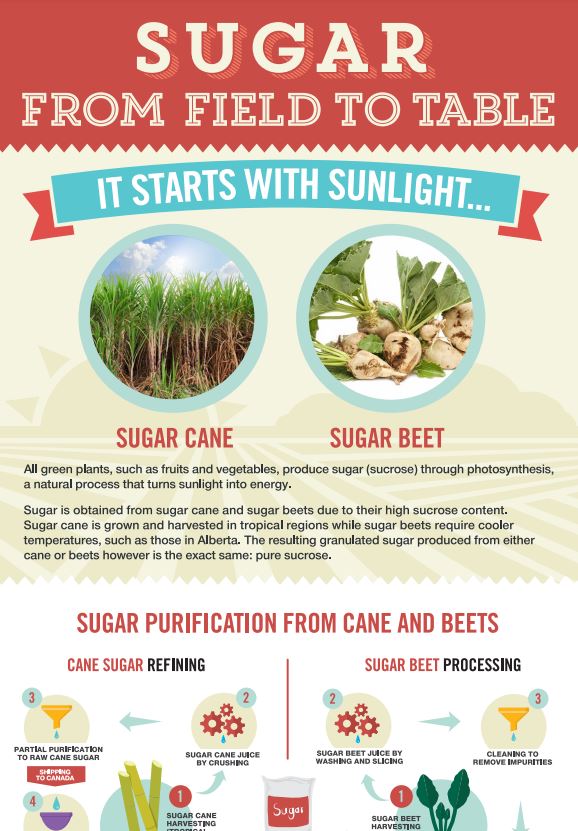 Sugar from field to table 