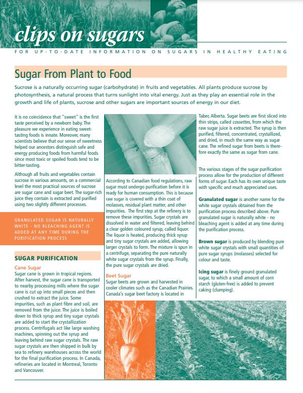 Sugar from plant to food 